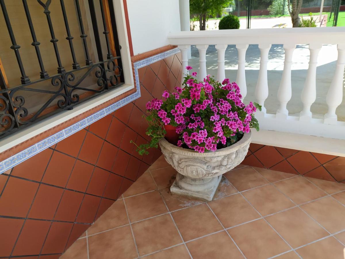 Villa Frasquita Priego de Córdoba Dış mekan fotoğraf