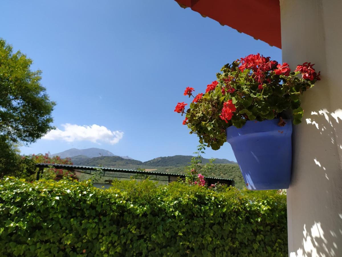 Villa Frasquita Priego de Córdoba Dış mekan fotoğraf