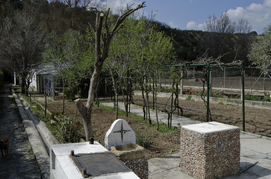 Villa Frasquita Priego de Córdoba Dış mekan fotoğraf