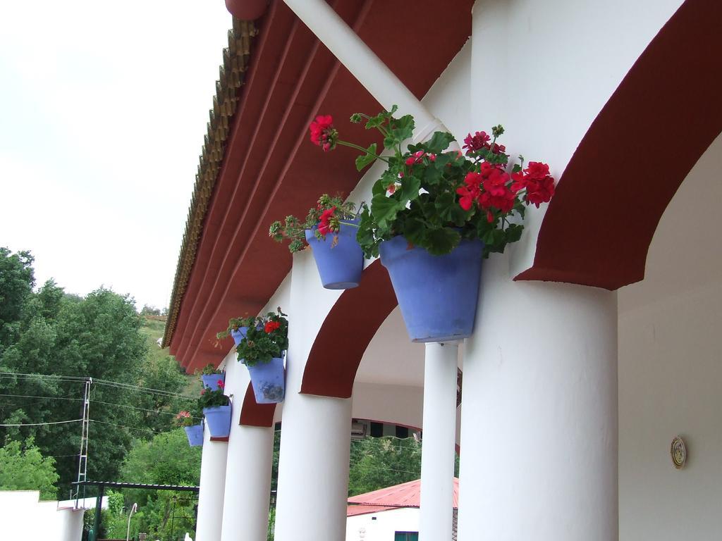 Villa Frasquita Priego de Córdoba Dış mekan fotoğraf