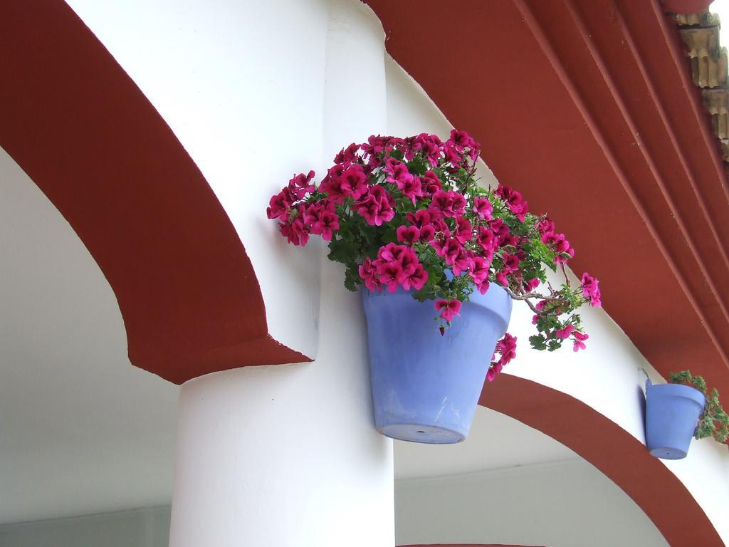 Villa Frasquita Priego de Córdoba Dış mekan fotoğraf