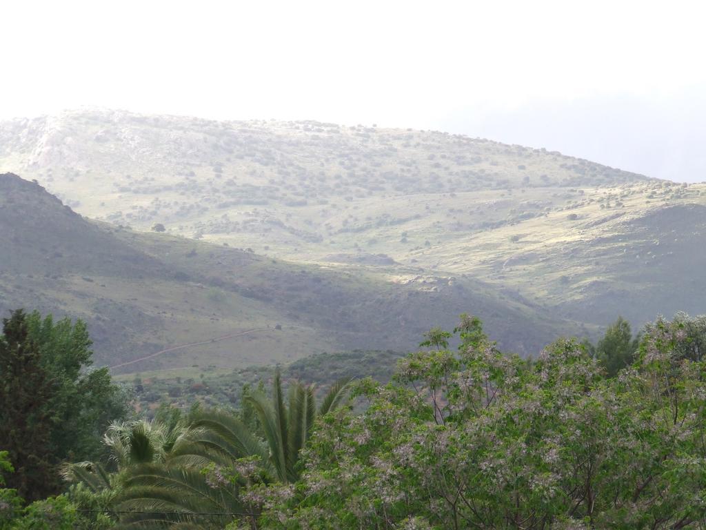 Villa Frasquita Priego de Córdoba Dış mekan fotoğraf