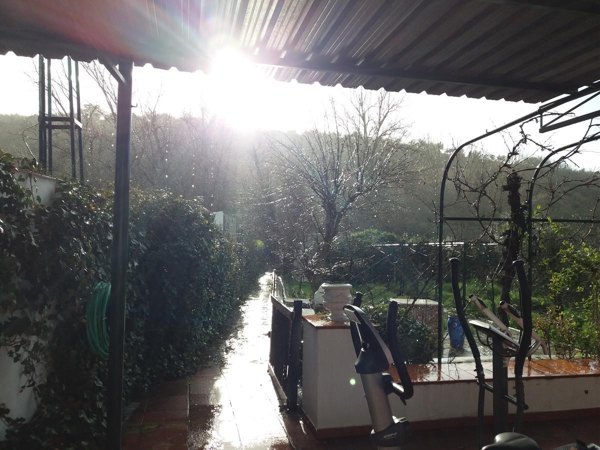 Villa Frasquita Priego de Córdoba Dış mekan fotoğraf