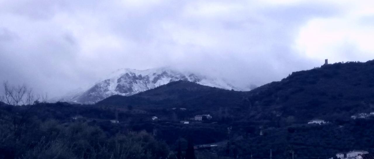 Villa Frasquita Priego de Córdoba Dış mekan fotoğraf